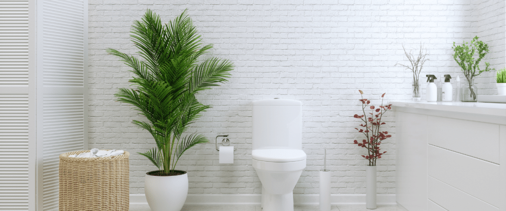Minska vattenförbrukningen med en snålspolande toalett! Teubers Rör i Uppsala hjälper dig att byta toalettstol